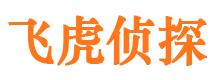 越城市私家侦探